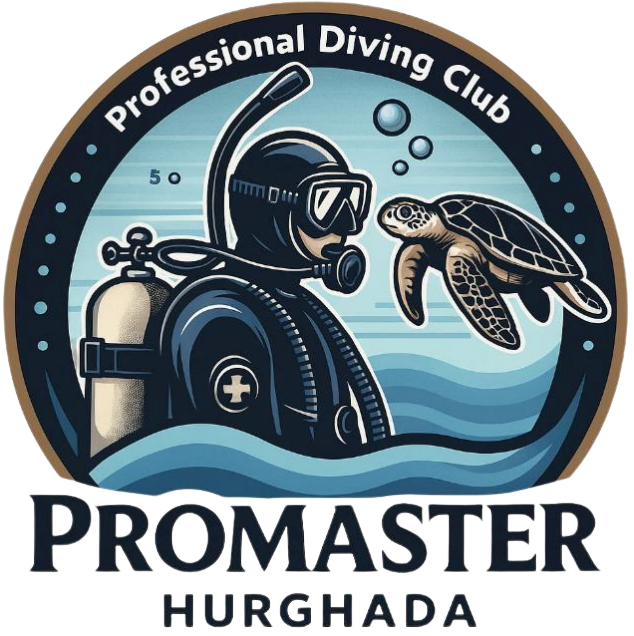 Pro Master Hurghada Logo